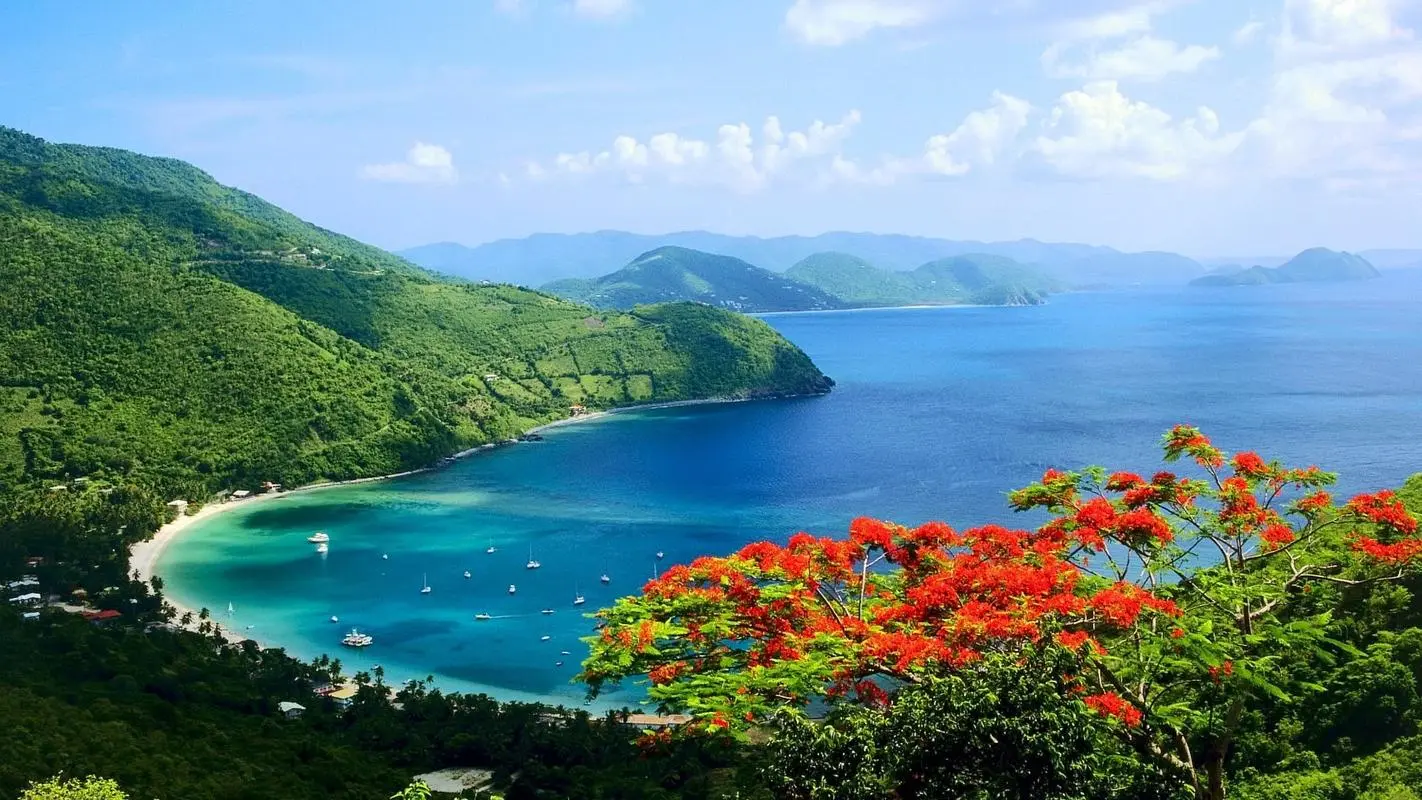 高标准先进高标准
